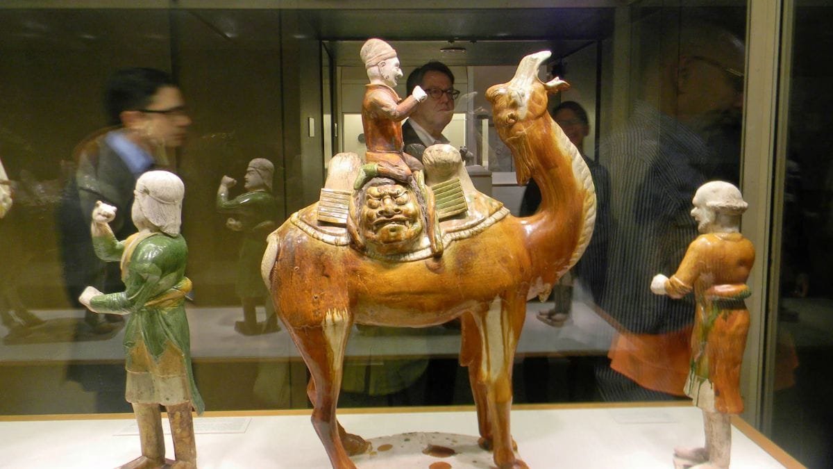Camel Museum