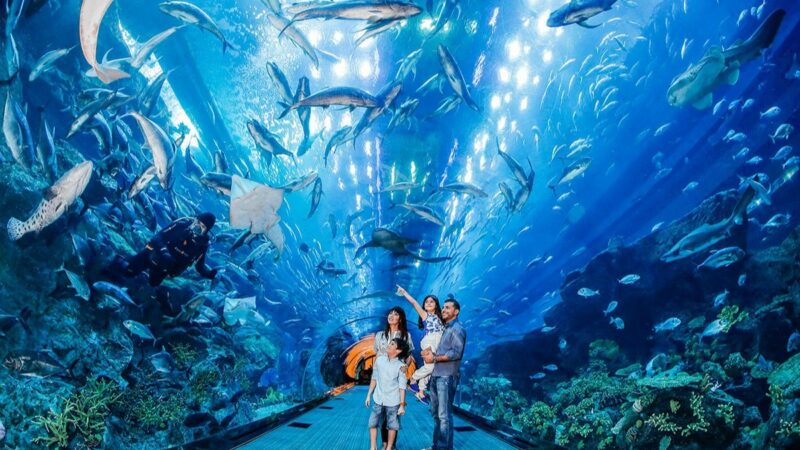 Dubai Aquarium and Underwater Zoo