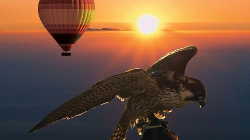 Hot Air Balloon with Falcons