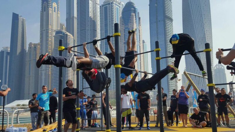 The free gym at Calisthenics Park