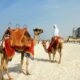Top 10 Places to Visit in Dubai During Summer for Free