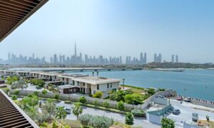 Super Prime Luxury Market In Dubai