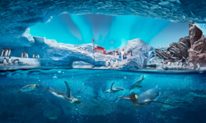 SeaWorld Abu Dhabi