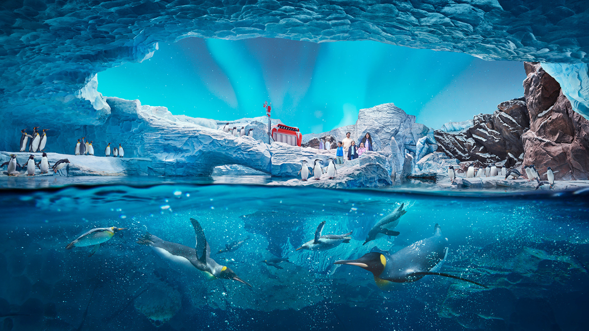 SeaWorld Abu Dhabi