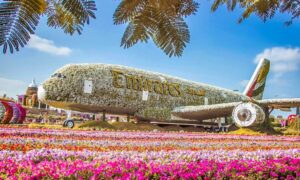 Dubai Miracle Garden