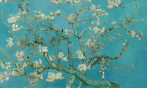 Step into Van Gogh's World: Japan's Captivating Connection Goes Viral!