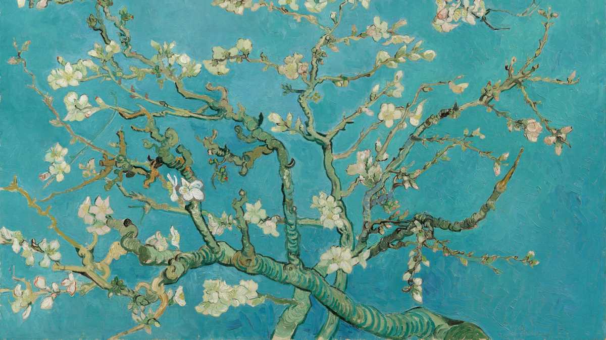 Step into Van Gogh's World: Japan's Captivating Connection Goes Viral!