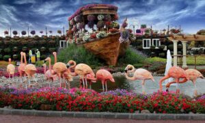 Get ready: Dubai Miracle Garden reopens in less than a month