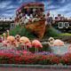 Get ready: Dubai Miracle Garden reopens in less than a month