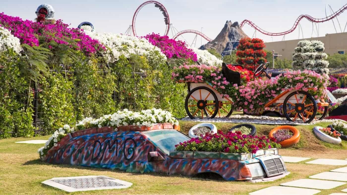 Flower-covered vintage car and carriage displays at Dubai Miracle Garden with a roller coaster in the background