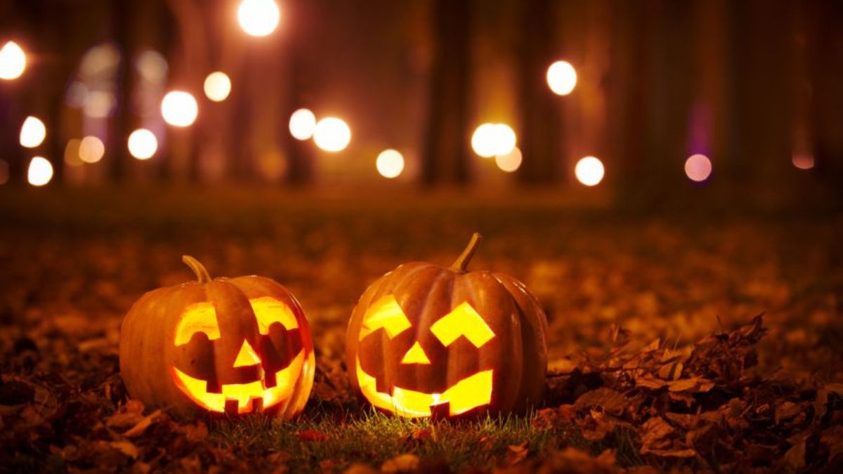 2023's Hottest Halloween Events and Nightlife! (2)