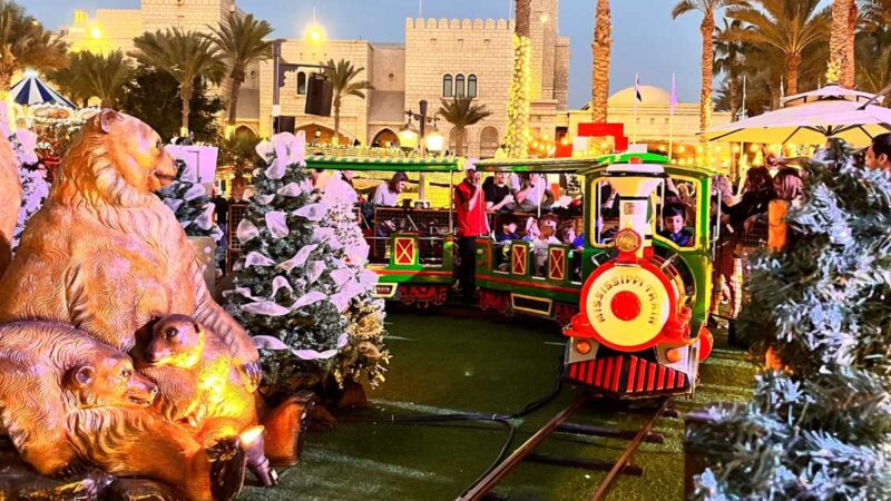 Dubai's Ultimate Winter Wonderland! (3)