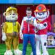 PAW Patrol Fest at Festival Bay!