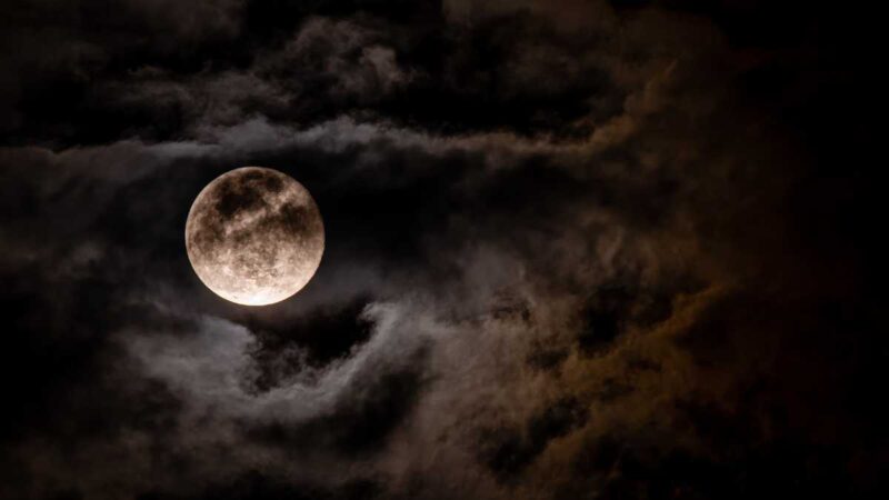 Get Ready for Dubai's Wolf Moon Night