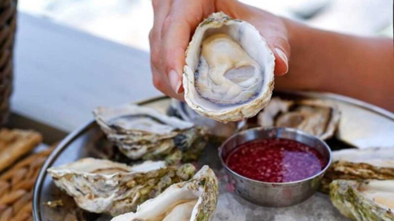 Oysters Away at Dibba Bay Oyster Festival