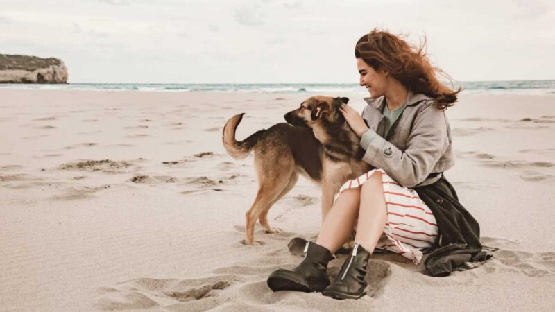 Take Your Fur Baby to the Beach