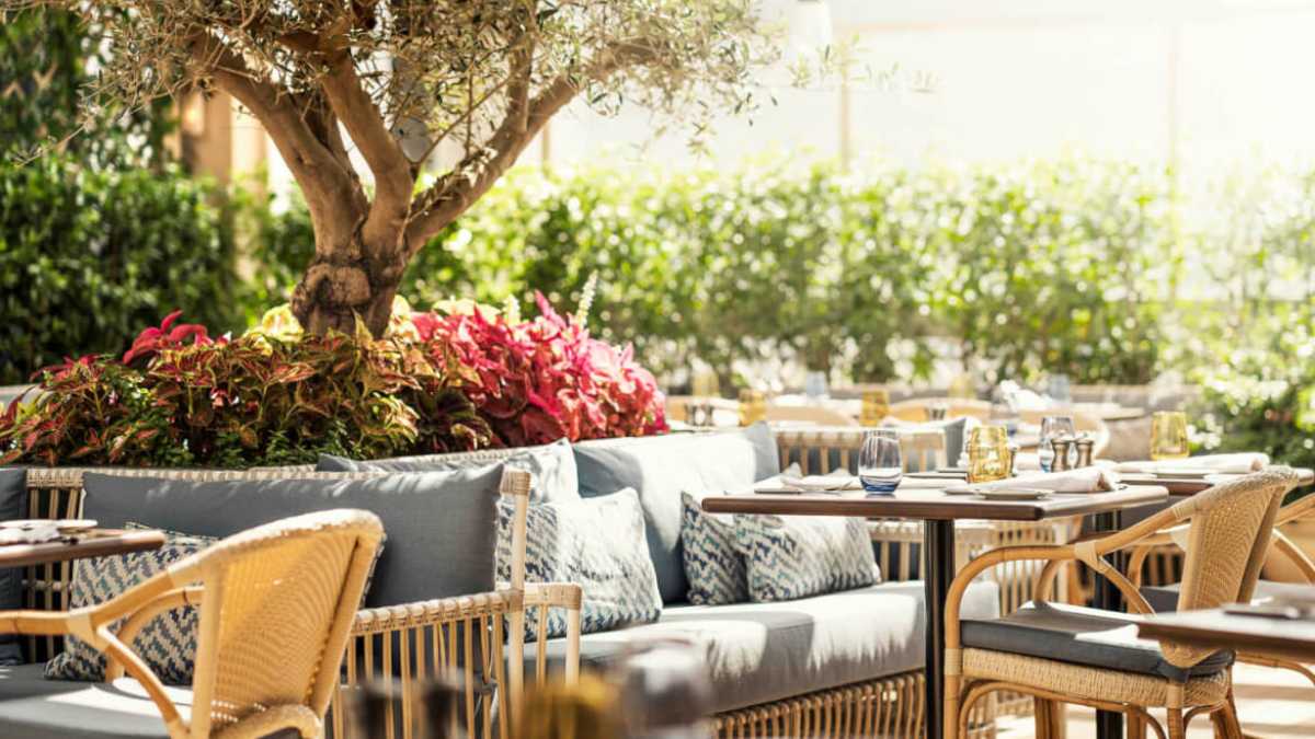 MINA Brasserie DIFC Dubai