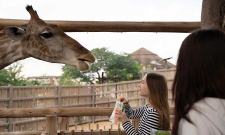 Dubai Safari