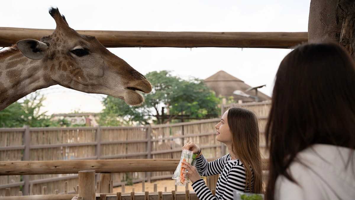 Dubai Safari