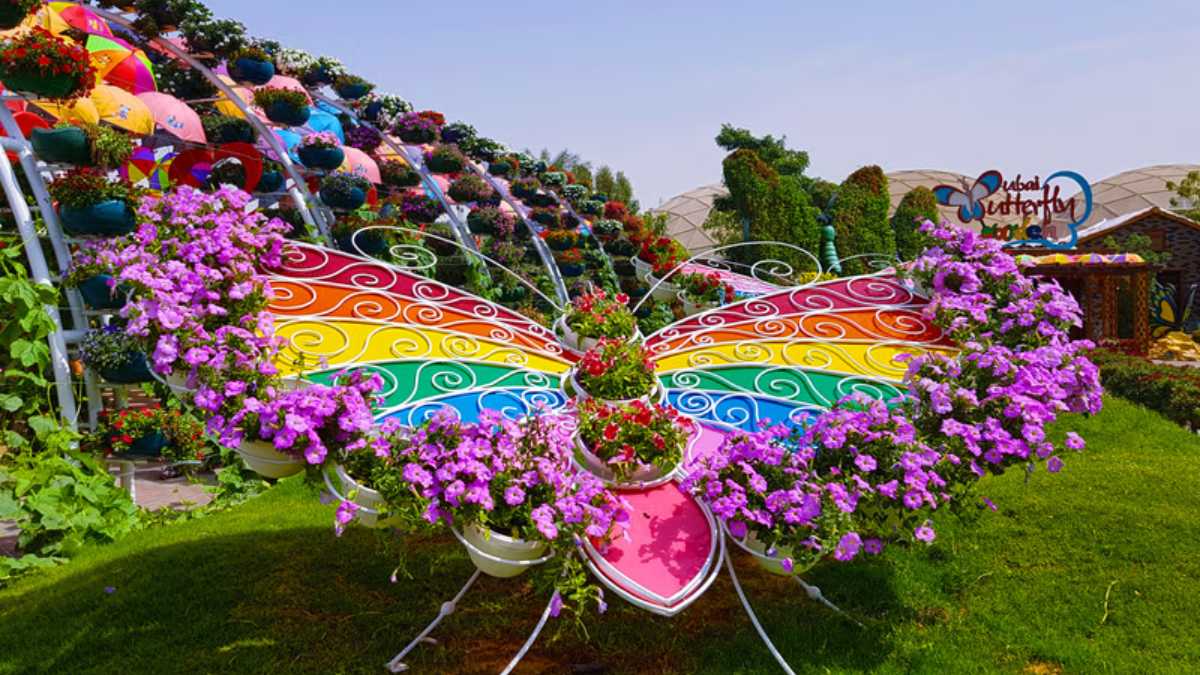 Dubai Butterfly Garden