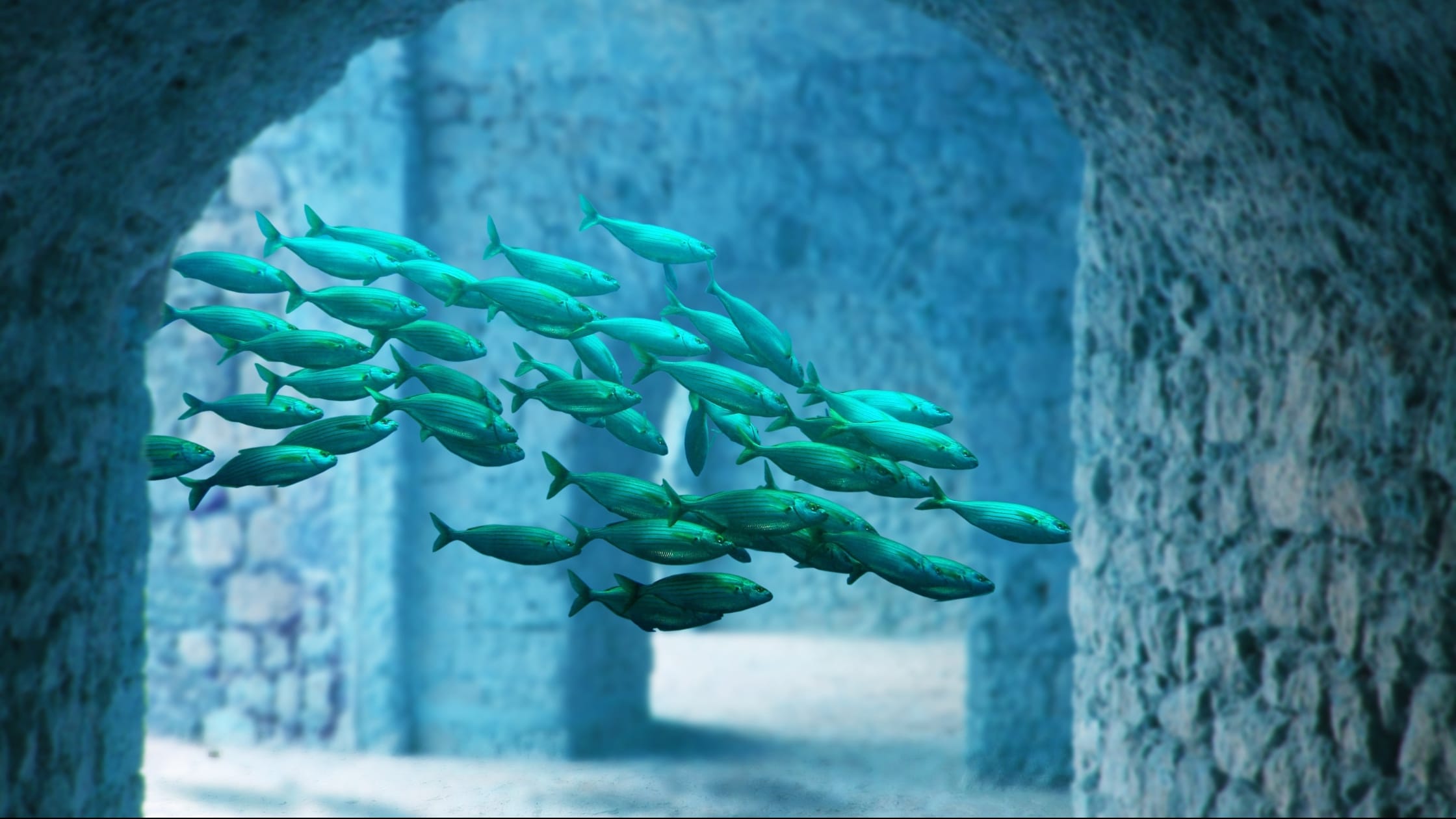 Atlantis Aquaventure