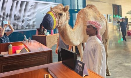 A Man With Camel Check in at Hotel Indigo Dubai Downtown!