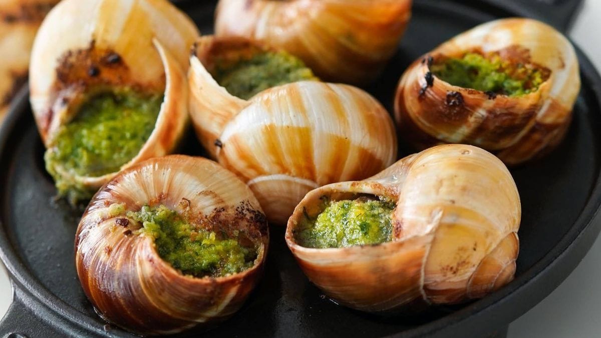 Celebrating 6 Years of Culinary Excellence at Carine, Emirates Golf Club