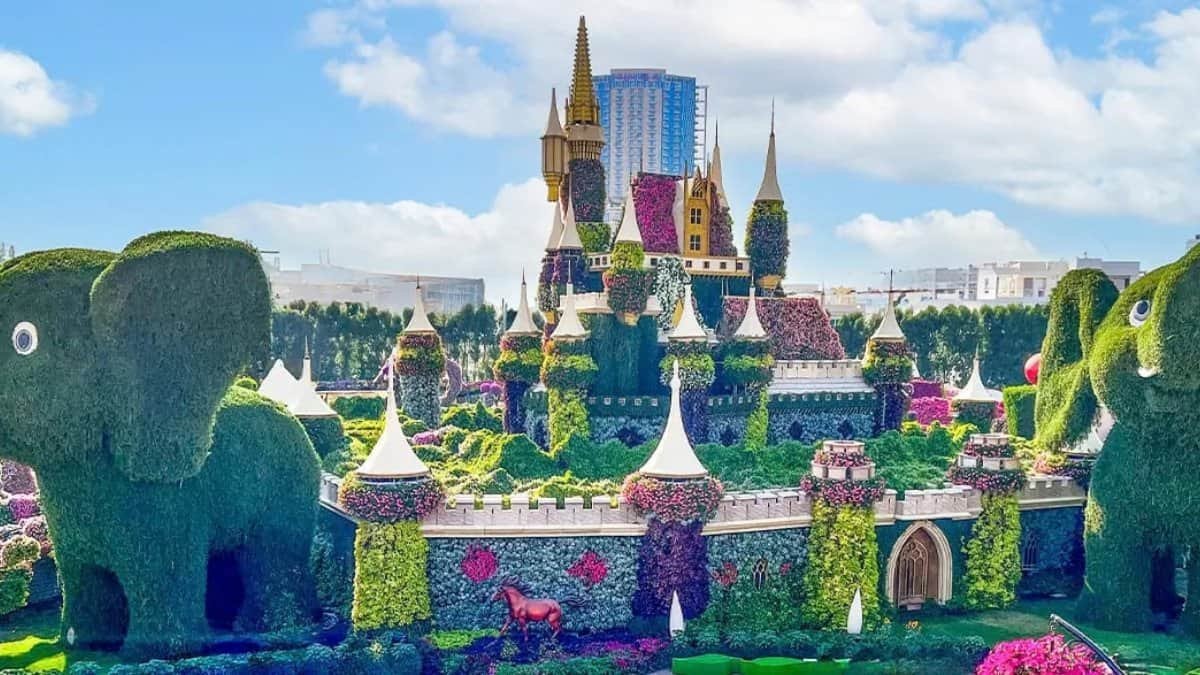 Dubai miracle garden opening for season 15
