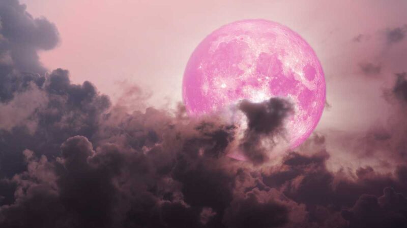 Pink Moon is Set to Rise Over Dubai Next Week