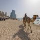 Discover Dubai's Top Family-Friendly Beach Destinations