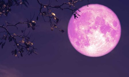 The ‘flower moon’ will be visible from the UAE next week – here’s why it’s a big deal