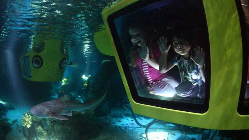 Beat the Heat This Summer at LEGOLAND® Dubai