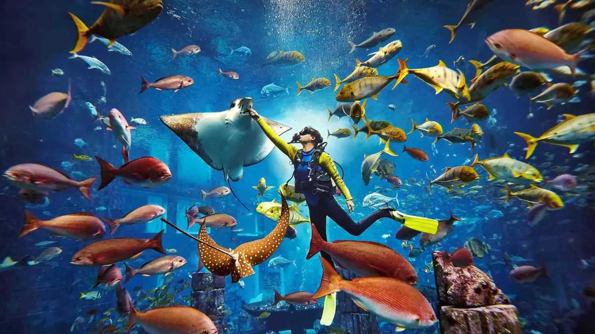 Children watching marine life through the tunnel at The Lost World Aquarium, Atlantis Dubai