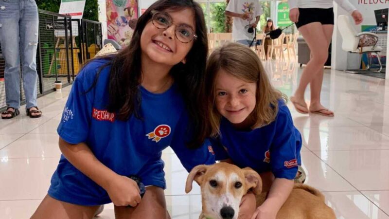 The Petshop to Host “Bark ‘N Learn” Summer Camp