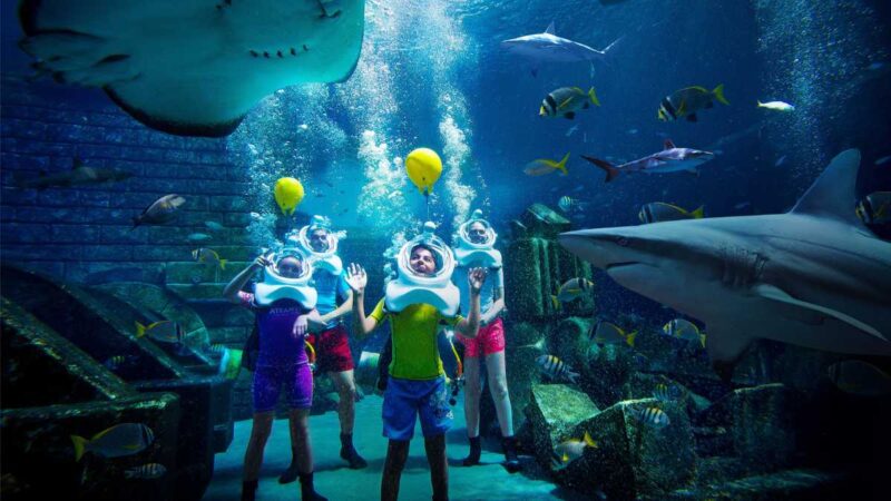 Thrilling "Summer of Sharks" at Aquaventure World, Dubai