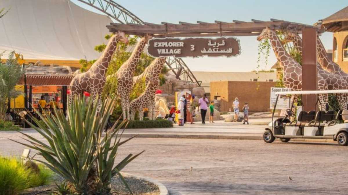 Dubai Safari Park Set to Reopen on October!