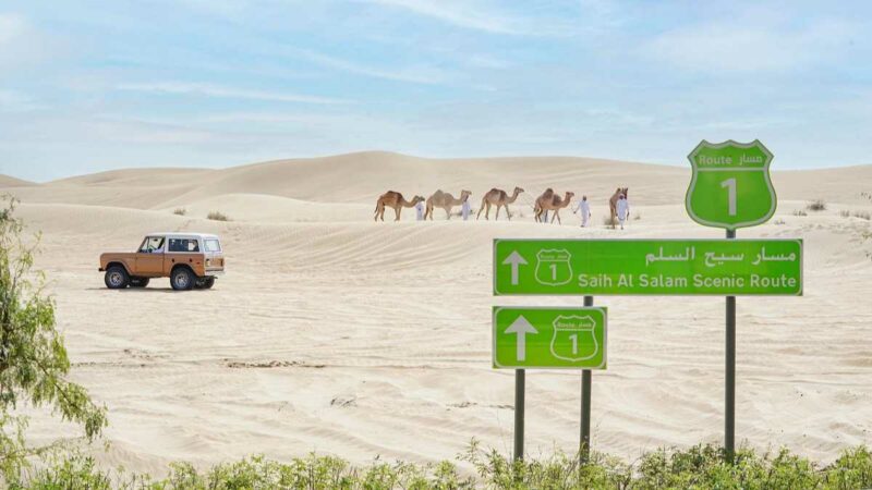 Sheikh Hamdan Announces $106 Million Dubai Rural Development Plan