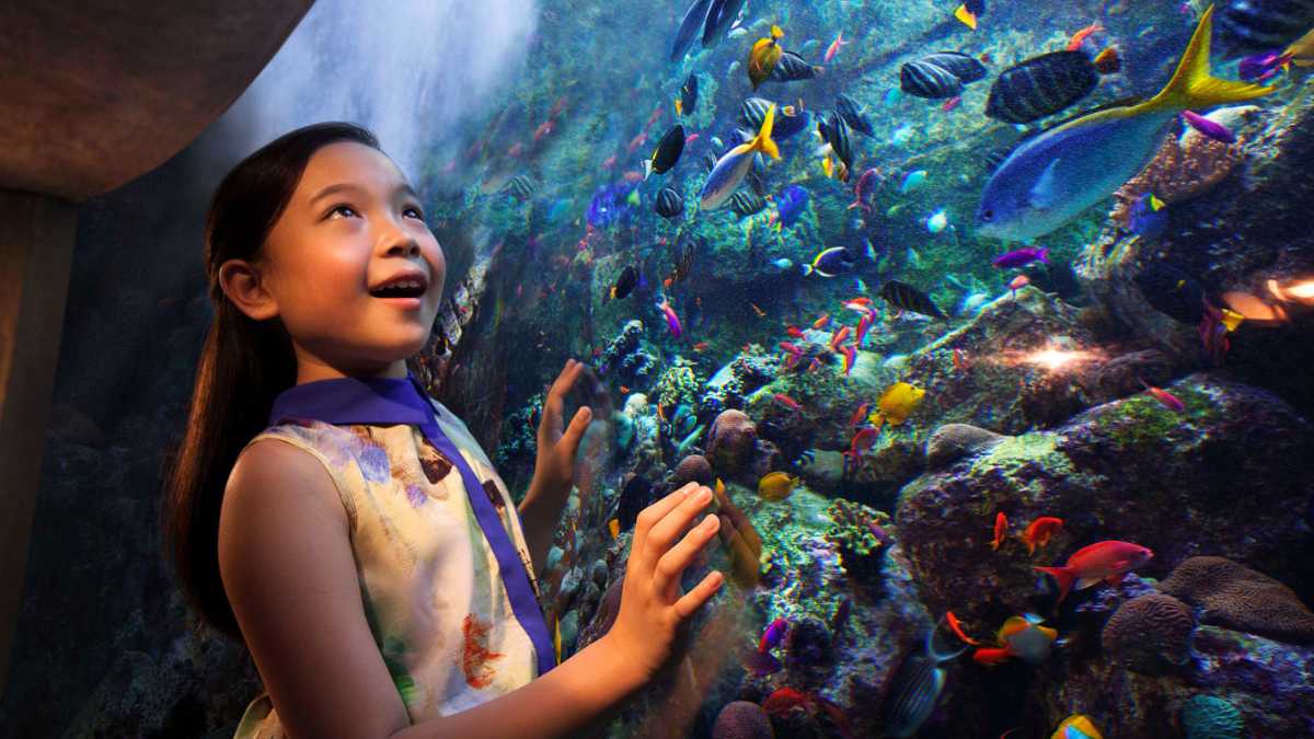 Experience a Winter Wonderland at Atlantis Dubai’s Aquaventure World