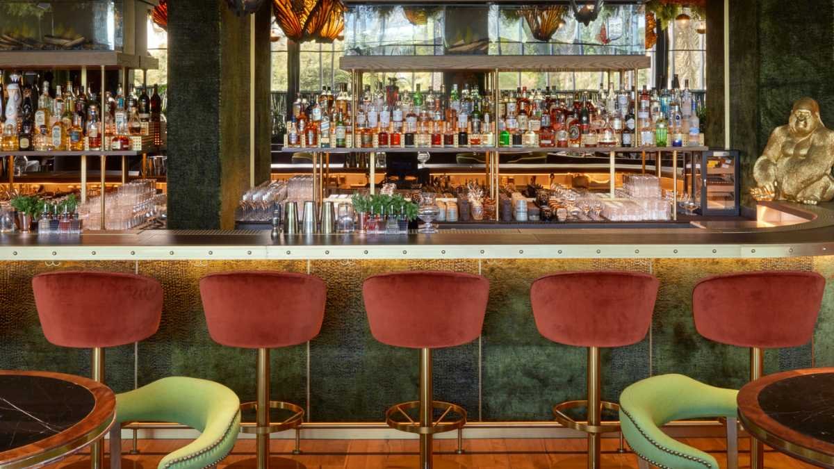 Amazónico Dubai Turns Five Get Ready for a Carnival Like No Other!