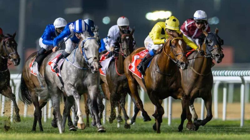 Dubai Racing Carnival: Emirates Super Saturday