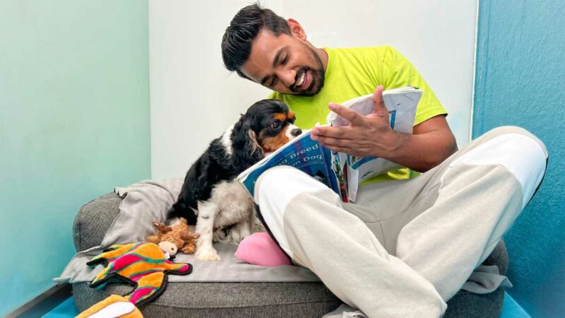 Fetch Dubai Redefining Premium Pet Care in the UAE