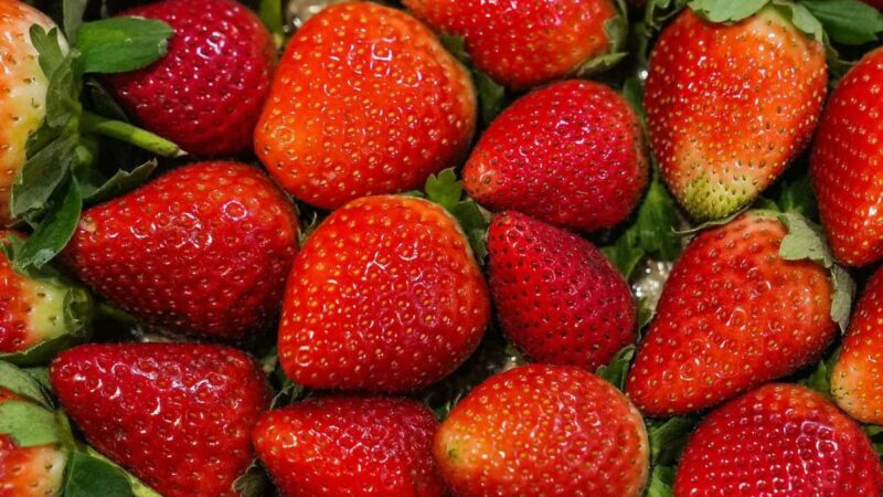 Sweeten Your January with Waterfront Market’s Strawberry Extravaganza!