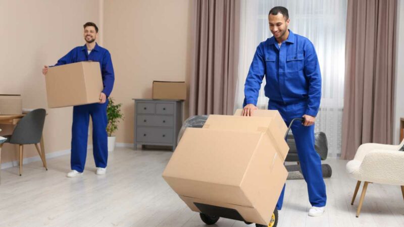 Movers and Packers in Abu Dhabi for Shifting House