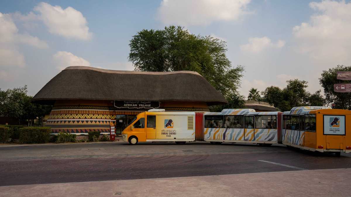 Last Call for a Wild Weekend! Dubai Safari Park Closes for Summer