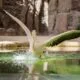 https://wow-emirates.com/last-call-for-a-wild-weekend-dubai-safari-park-closes-for-summer/