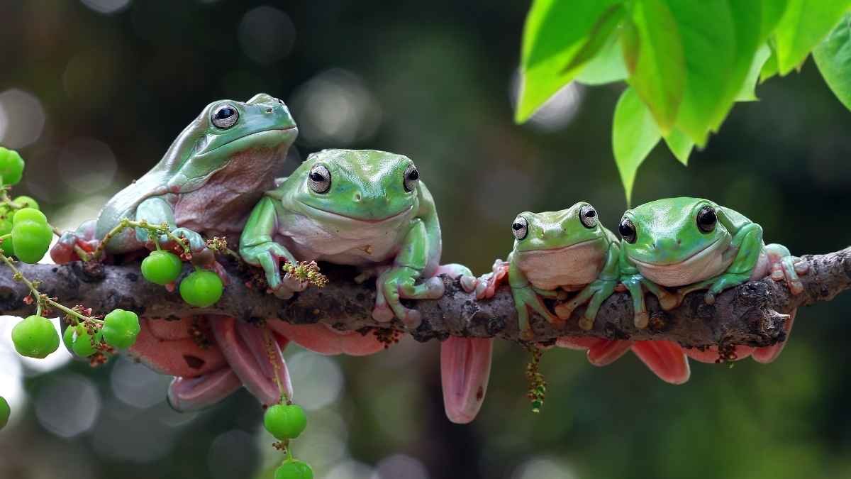 World's most compelling destinations