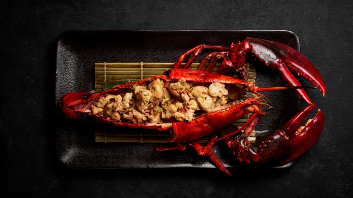 TANG Dubai Makes a Grand Return on 1 October at the Palace Downtown Hotel