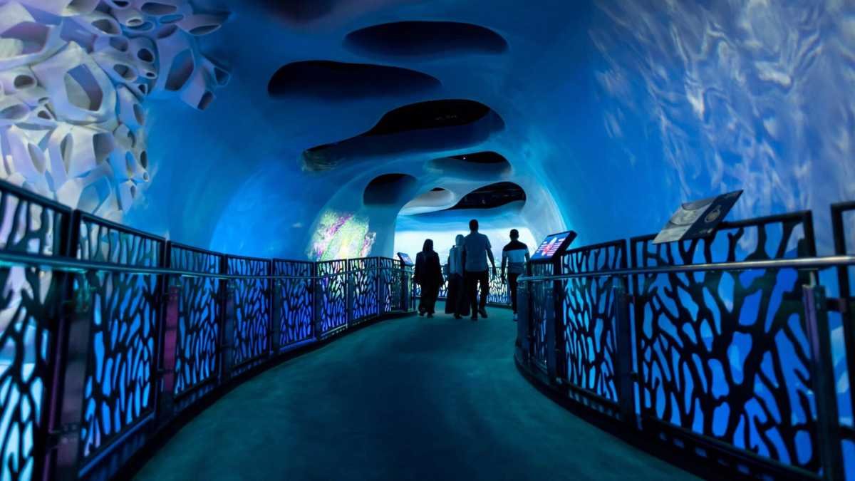 Guardians Of Water Festival At Expo City Dubai Guardians Of Water Festival At Expo City Dubai