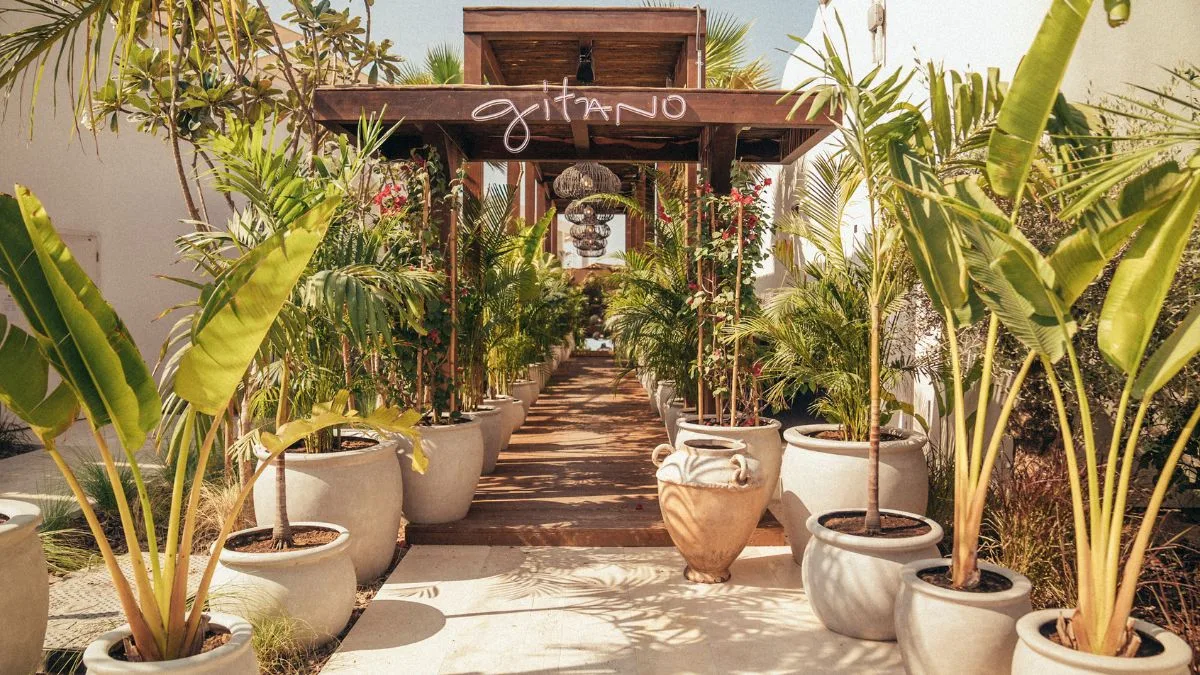 Gitano Dubai pool with jungle planting and a disco ball overhead