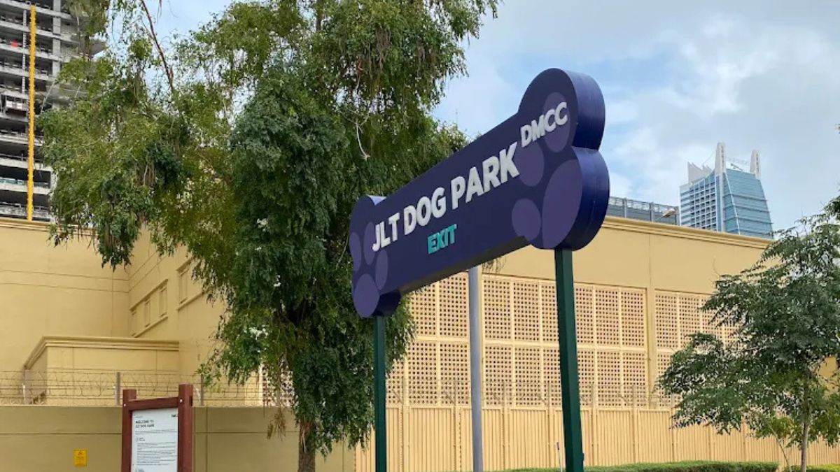 6 Best Pet-Friendly Parks in Dubai For Your Furry Friends